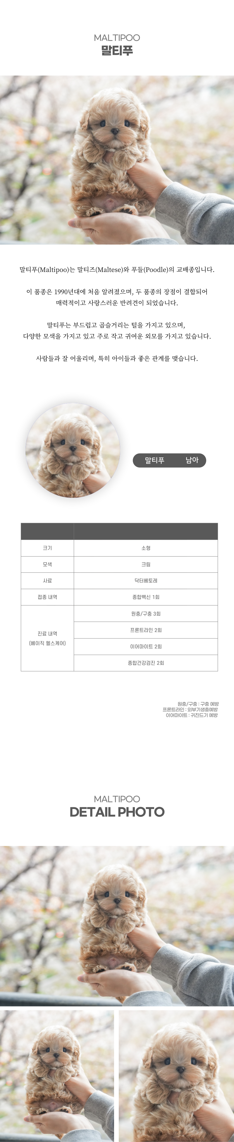 말티푸_상세이미지_2